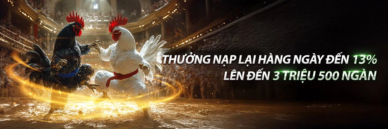 Sân đấu đá gà 88 trực tuyến sôi động